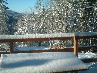 chalet location vacances 39